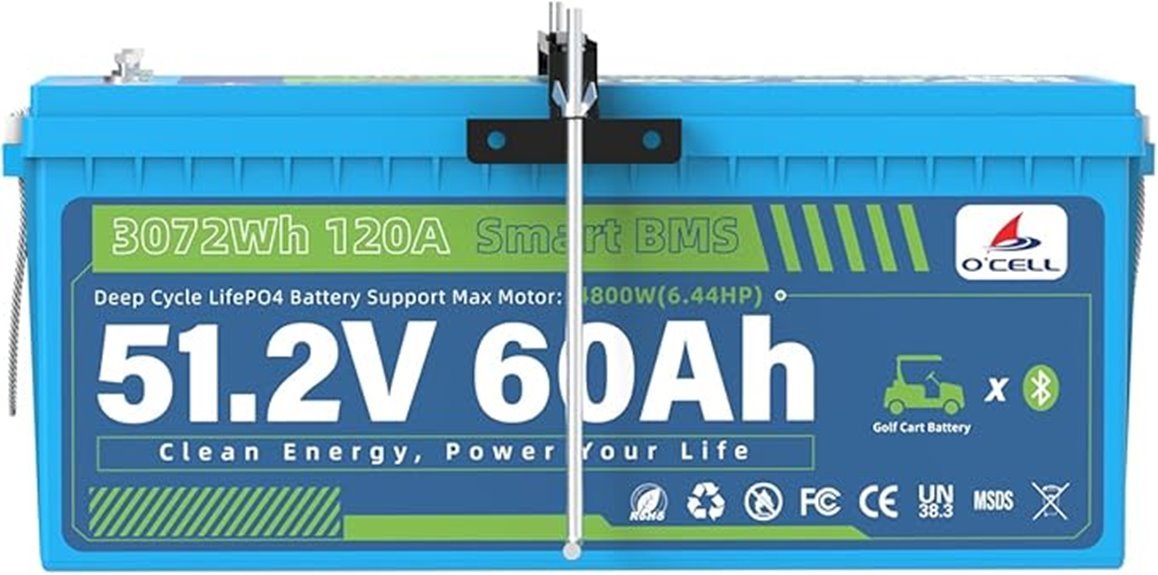 48v 60ah lifepo4 golfcart
